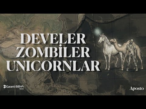 Which companies will survive in the new economy? | Today's Money #12