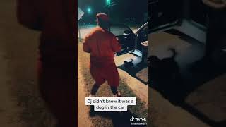 Download lagu DJ didnt see the DOG😂😂😂😂 mp3