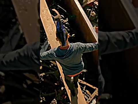 El entrenamiento de Cobra Kai antes del torneo 🤯 | #cobrakai #edit #foryou |