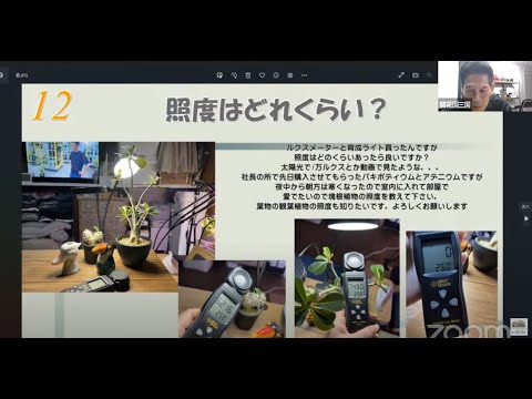 初期の花芽は剪定したほうがよいでしょうか？はい、いいえ!  庭園