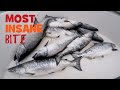 Most Insane Salmon Bite at Half Moon Bay