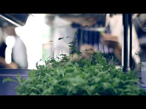 Simon Rogan's L'Enclume