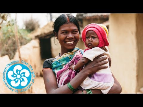 Plant Kitchen Gardens for Mothers in India