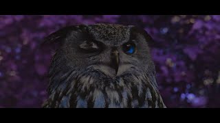 extraterrestrial vibes Music Video