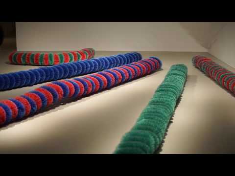 L’ARTE È PER TUTTI - Fondazione Pino Pascali