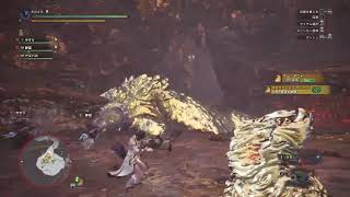 MHW ｱｲｽﾎﾞｰﾝに向けてリハビリがてらに！
