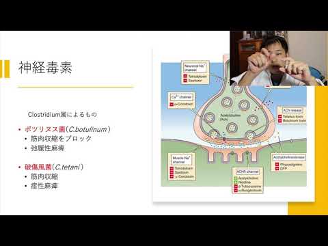 医療細菌学 - 定義