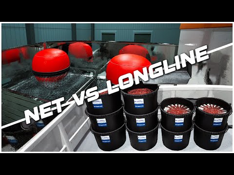 Ships at Sea Net Fishing vs Longline Fishing - Which is Better for Making Money?