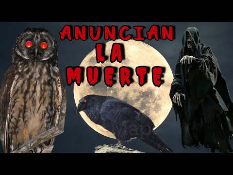 AVES que ANUNCIAN la MUERTE ☠️ 👻🎃