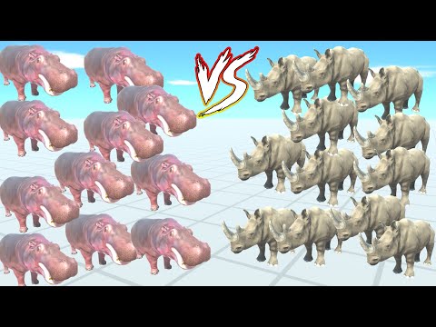 50X HIPPO VS 50X RHINO  - ARBS