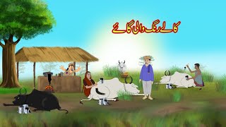 کالے رنگ والی گائے  Black Color Cow