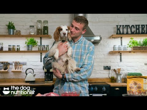 The truth about dog food - The Dog Nutritionist