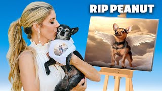 Our Dog Says Goodbye to Best Friend *emotional*