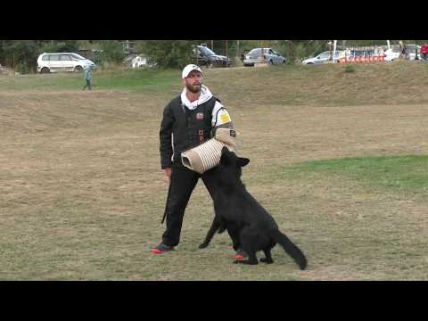 MM MSKS Zbraslav 2016 - Koudela Jiří - Connie z Dobřečovské školy - obrana/defense