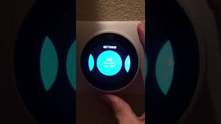 Nest thermostat how to manually hold temperature