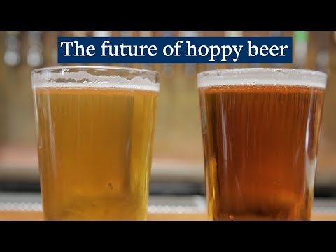 download lagu mp3 mp4 California Ale Yeast Substitute, download lagu California Ale Yeast Substitute gratis, unduh video klip California Ale Yeast Substitute