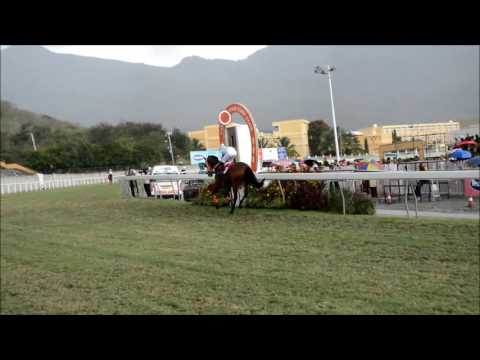 Golden Trophy - 2016