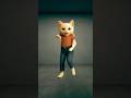 Bom Diggy | Dance Video🦵🔥 #shortsfeed #shorts #viralvideo #viralshorts #cat #dance #youtubeshorts