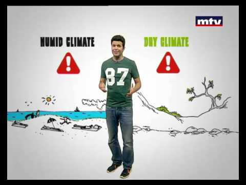 Minal - Beach and Mountains Chalet