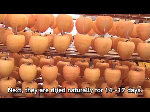 20 Noto Shika Korogaki