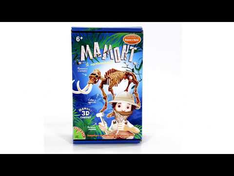 Миниатюра изображения товара Набор для опытов Bondibon Мамонт / ВВ2000