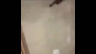 the law of equivalent exchange