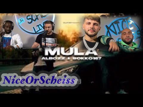 Mois, Manuellsen, Veysel und Dardan reagieren auf Albozz & Sokko167 ,,Mula" | nice or scheiss
