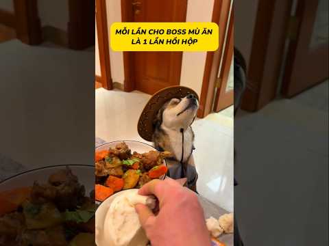 Mỗi lần cho mài ăn là tim tao rớt ra ngoài đó