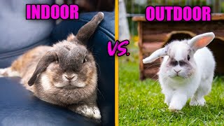 INDOOR RABBITS VS. OUTDOOR RABBITS: The Differences by Lennon The Bunny