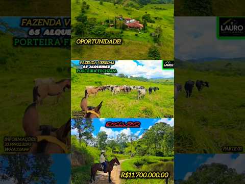 🚜 ✨️FAZENDA A VENDA NA REGIÃO ÁGUAS FORMOSAS MG ESTRUTURA COMPLETA 33.99902.8393 WHATSAPP