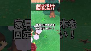 家具のなる木を固定化したい！ 【あつ森】@ほのげ