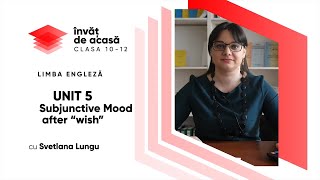 "Subjunctive Mood After “wish"