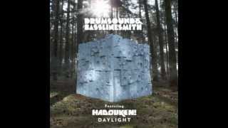Drumsound &amp; Basslinesmith feat. Hadouken! - Daylight (Genetix Remix)