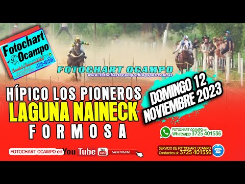 HÍPICO LOS PIONEROS -LAGUNA NAINECK, FORMOSA - Resumen de la Reunión del 12/11/2023