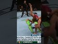 Jorge Masvidal arrested for attack on Colby Covington in Miami? #shorts
