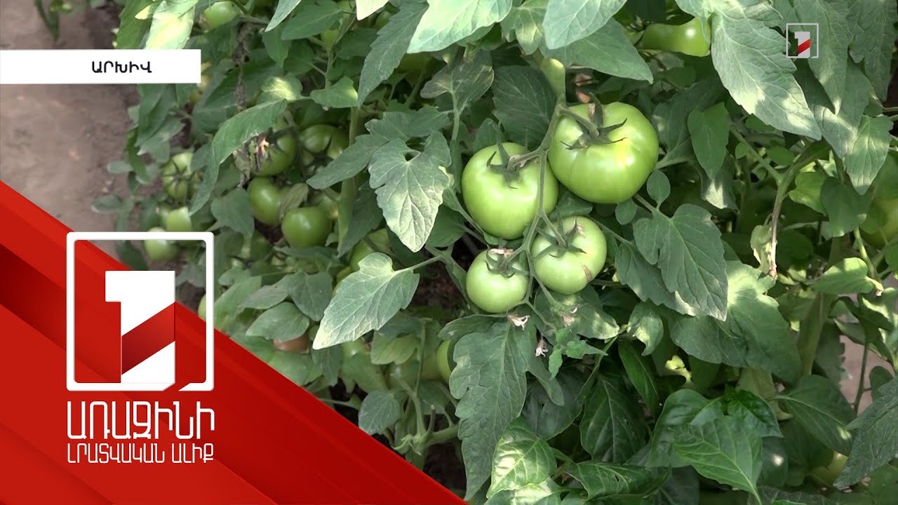 «Իմ քայլը» հիմնադրամը ԼՂ-ից բռնի տեղահանված 20 ընտանիքի ջերմատուն կտրամադրի