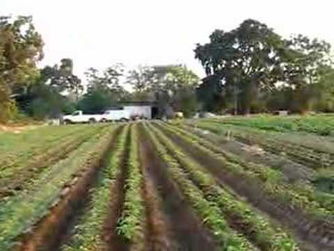 How to Use a Disc Harrow Model 300