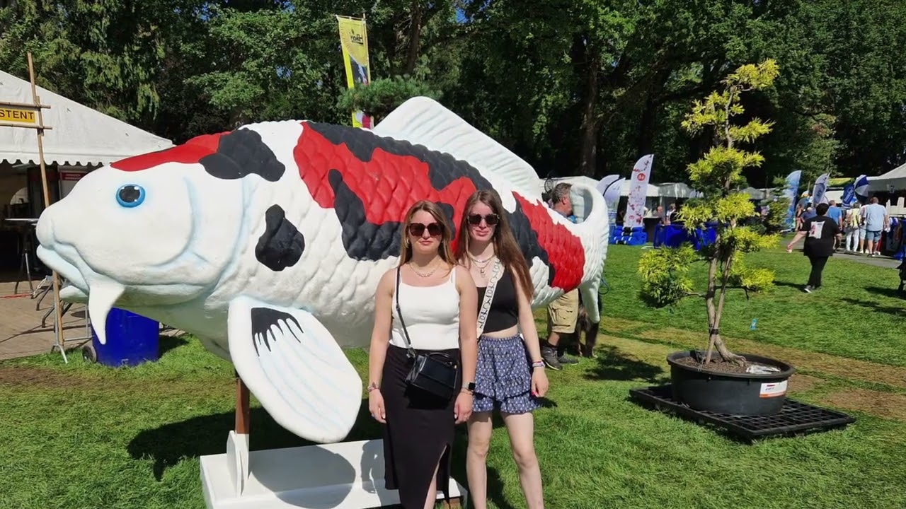 Koi Vijver van Andel bij de Holland Koi Show te Arcen 2023