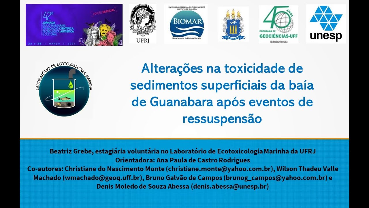 Apresentação JicTac - Beatriz Grebe