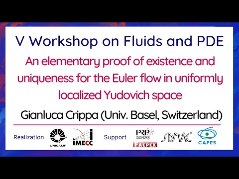 V Workshop on Fluids and PDE - September 29th, 2021 - Gianluca Crippa