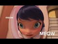 Miraculous Ladybug Season 5 But It S Completely Out Of Context P S It S Very Chaotic