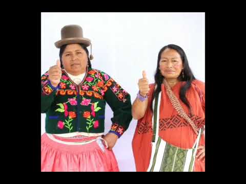 COP5 / Sociedad Peruana de Ecodesarrollo