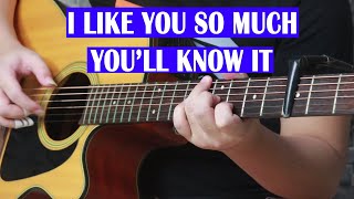 Download lagu I Like You So Much, You’ll Know It A Love So Beautiful OST - Guitar Fingerstyle Cover mp3 Download lagu I Like You So Much, You’ll Know It A Love So Beautiful OST - Guitar Fingerstyle Cover mp3