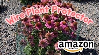 Need to protect your plants from animals? Here's How--