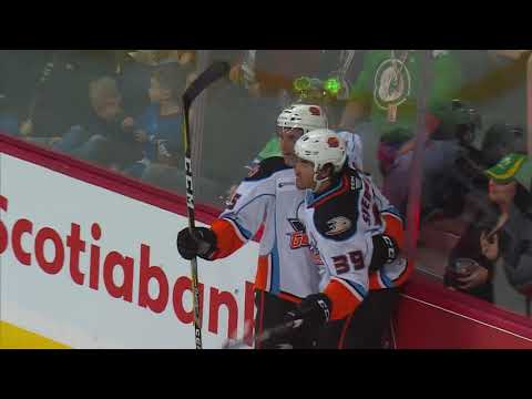 Gulls vs. Moose | Mar. 17, 2019