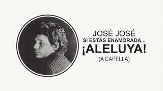 José José - Si Estás Enamorada... ¡Aleluya! (Instrumental Original) 🎶✨