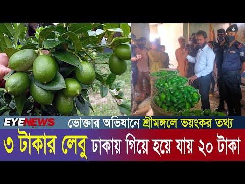 রমজানেও ব্যবসায় ডাকাতি, শ্রীমঙ্গলের ২-৩ টাকার লেবু ঢাকায় হয়ে যায় ২০ টাকা