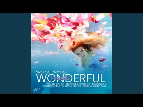 Wonderful (Dreamers Inc Nu Disco Rmx)
