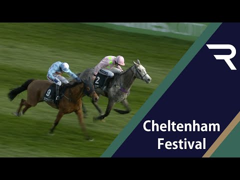 THE CROWD GO SILENT! Champagne Fever gets picked off by outsider WESTERN WARHORSE in the 2014 Arkle