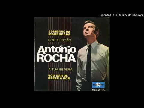 António Rocha - Portas da saudade